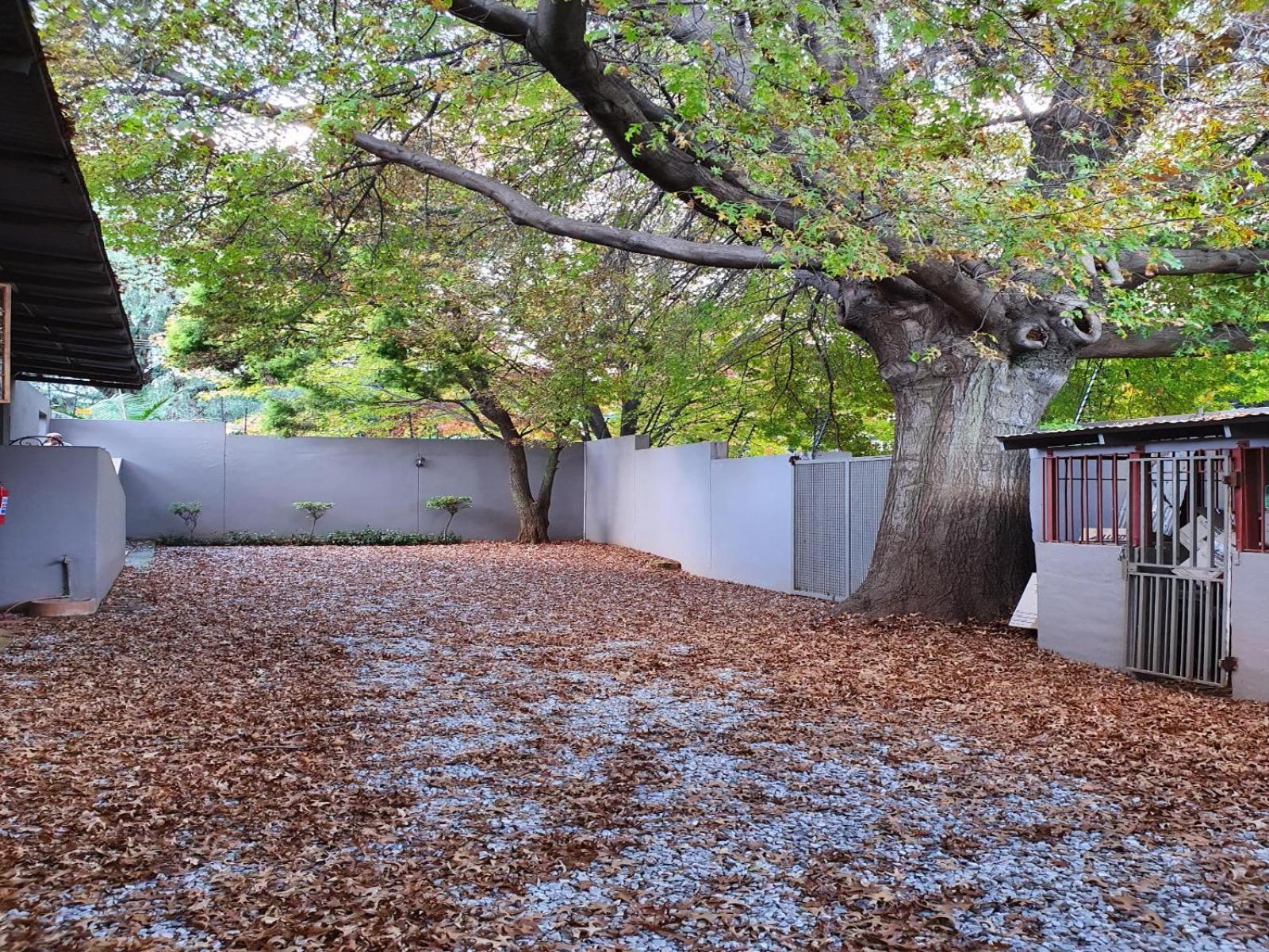 7Th Street Guesthouse Johannesburg Exteriör bild