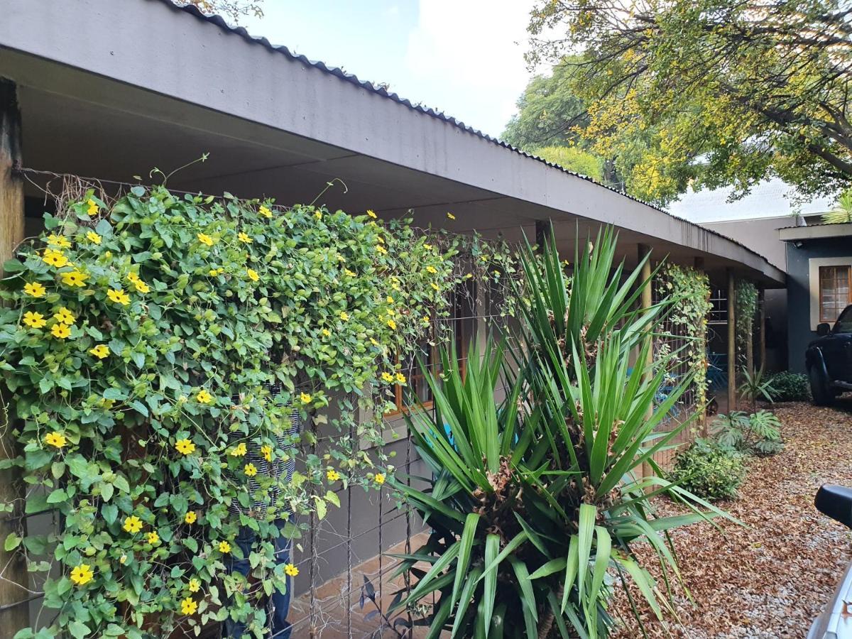 7Th Street Guesthouse Johannesburg Exteriör bild